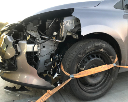 Foto: Een auto, nadat deze in botsing is gekomen met een ree.  (Wildbeheerder Jean van der Horst, op Goeree Overflakkee) (www.ad.nl)Verkeersveilig voor mens ?  Dodelijk voor wild !